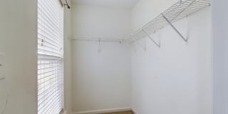155 Kallie Loop - 1 Gallery 22