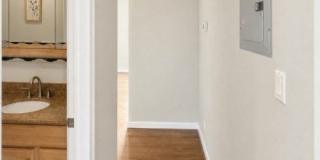 77 Cedar St Gallery 37