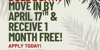 Las Palmas Villas Gallery 1