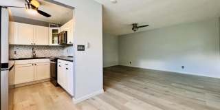 260 Dorchester K Gallery 3