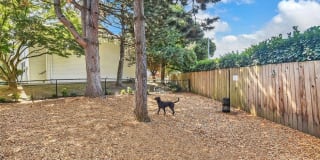 Foothills Gallery 24