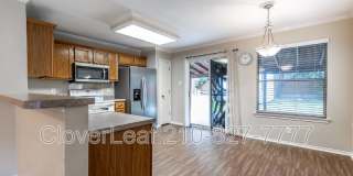 10343 Lion Chase Gallery 11