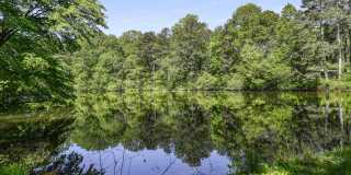 Premier Apartments Gallery 29