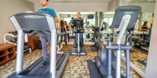 Belle Fontaine Gallery 41