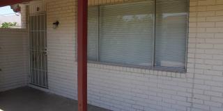 3905 FLORY #10 Gallery 4