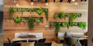 S'Park Apartments Gallery 19