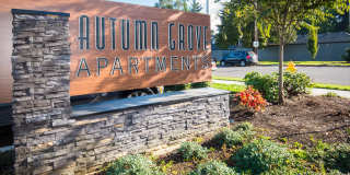 Autumn Grove Gallery 41