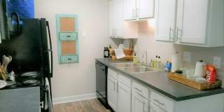 The Lily The Lily Gallery 6