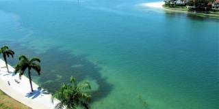 Waterfront 2/2 Furnished SEVEN month rental 55+ 8th Floor Point Brittany Gallery 1