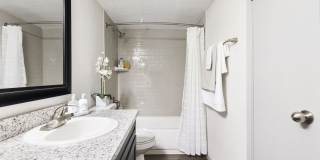 The Adalene Gallery 27