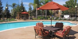 Pinnacle at Galleria Luxury Apartments Gallery 7