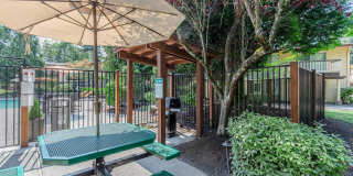 Carrington Gallery 20