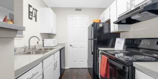 Sawmill Park Gallery 11