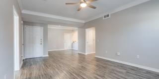 San Montego Gallery 16