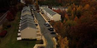 50 BELLADONNA Gallery 1