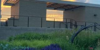 Charming 1BR Condo in Denver Gallery 32
