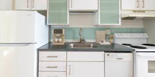 805 Dahlia Gallery 3