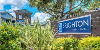 The Brighton Gallery 2
