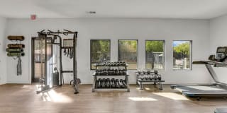 The Madrid Gallery 9