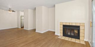 Lantern Cove Gallery 47