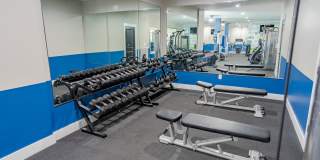 The Greyson Gallery 10