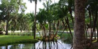 Longwood (The Springs) - 2 Bedroom, 1 Bathroom - $1,795.00 Gallery 31