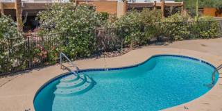 1341 E Ellis Drive Gallery 42