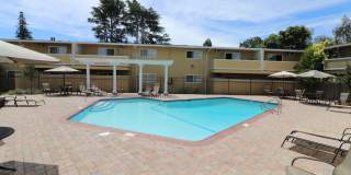 Mountain View Apartments Gallery 14