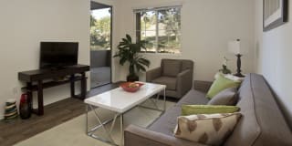 Parc Chateaux Gallery 23