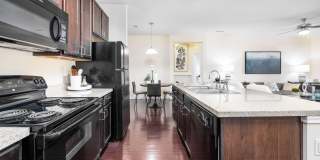 Sonoma Palms Gallery 1