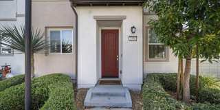 2556 Little Rock Lane Gallery 22