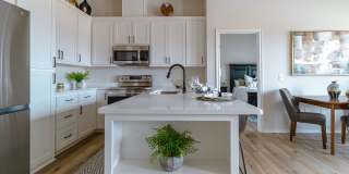 *New Construction* Gallery 42