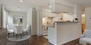 Pear Orchard Gallery 11