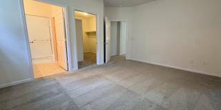 244 Mallard Drive Gallery 1