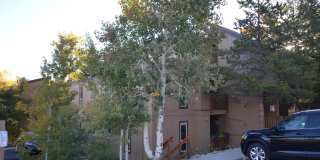 Long Winter Lease!  Fully Furnished, on bus route! Remodeled Kitchen and Baths! Gallery 1