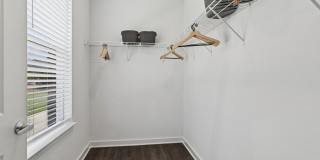 Ascend at Carlton Gallery 8