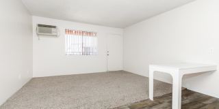 Standard Raintree Standard Raintree Gallery 7