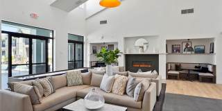 The Soleil Gallery 24