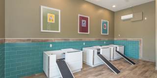 Silver Collection at Celebrate Gallery 25