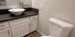 The Shelby Apartments Gallery 4