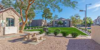 Morrison in Mesa Gallery 23