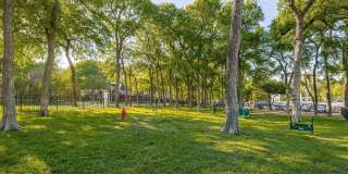 Thornbury at Chase Oaks Gallery 21
