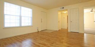 The Vintage Gallery 11