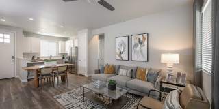 Village at Schnepf Farms Gallery 13