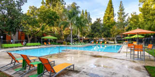 The Falls at Arden Gallery 34