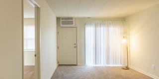 College Woods Gallery 36