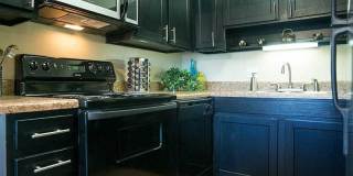 Ventana at the Lake Gallery 13