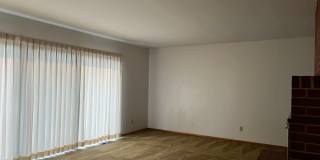Little Beauty Gallery 5