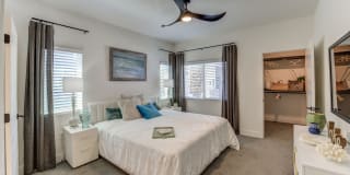 Society Society Gallery 1