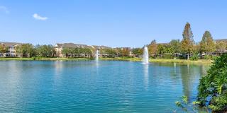 Cortland Lakecrest Gallery 32